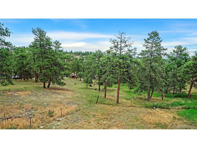 262 Dick Mountain Dr, Bailey, CO 80421