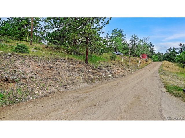 262 Dick Mountain Dr, Bailey, CO 80421