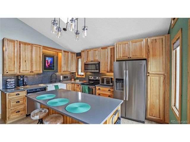 262 Dick Mountain Dr, Bailey, CO 80421