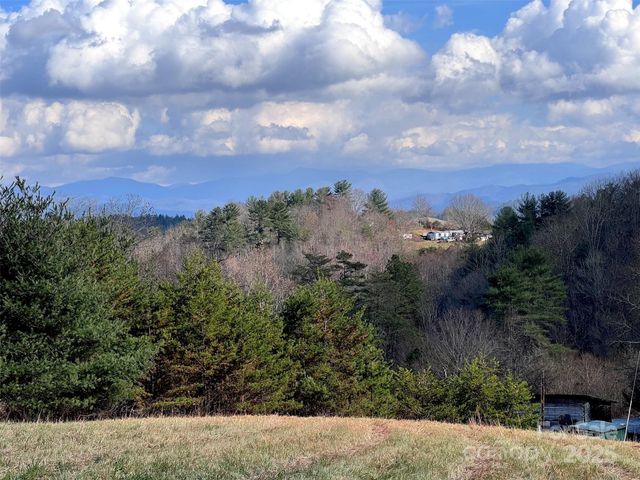 55 & 119 Webb Drive, Marshall, NC 28753