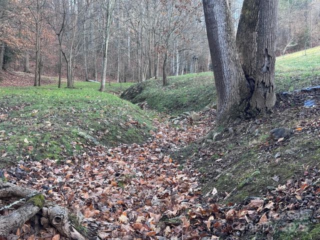 55 & 119 Webb Drive, Marshall, NC 28753