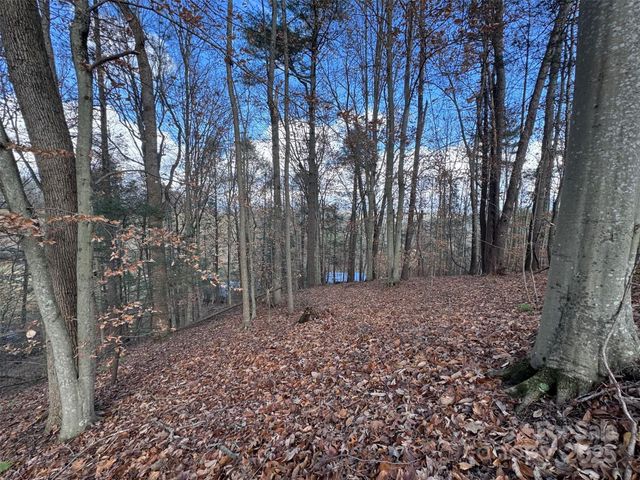 55 & 119 Webb Drive, Marshall, NC 28753