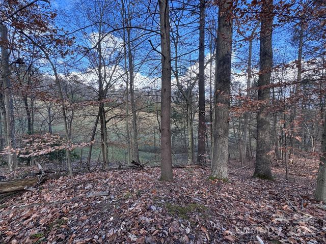 55 & 119 Webb Drive, Marshall, NC 28753