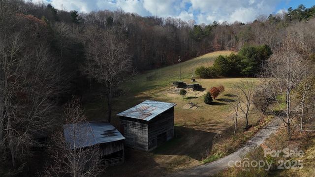 55 & 119 Webb Drive, Marshall, NC 28753