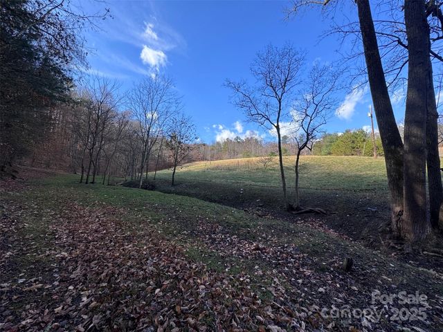 55 & 119 Webb Drive, Marshall, NC 28753