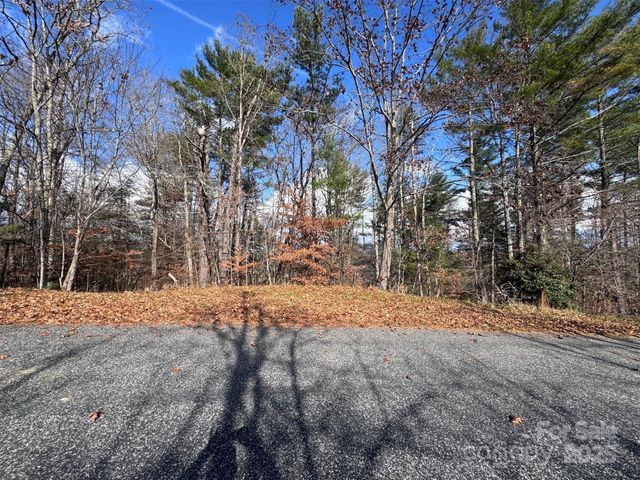 55 & 119 Webb Drive, Marshall, NC 28753