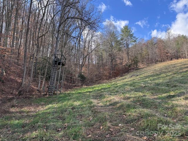 55 & 119 Webb Drive, Marshall, NC 28753