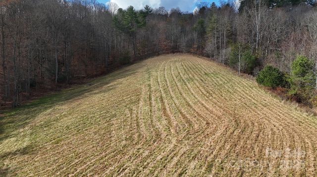 55 & 119 Webb Drive, Marshall, NC 28753