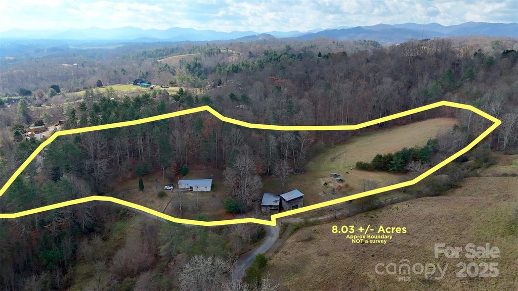 55 & 119 Webb Drive, Marshall, NC 28753