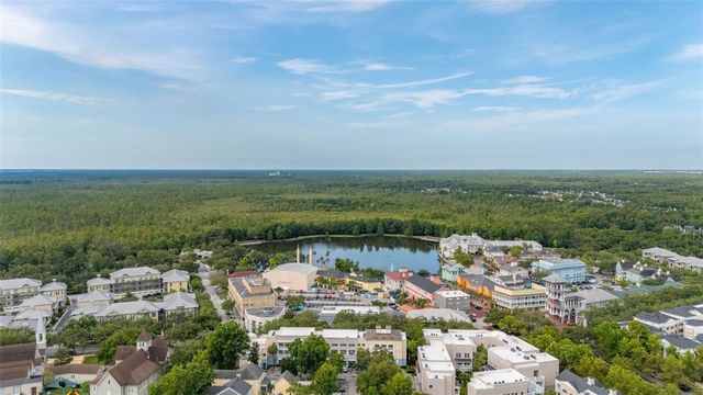 921 BEGONIA ROAD 203, Celebration, FL 34747