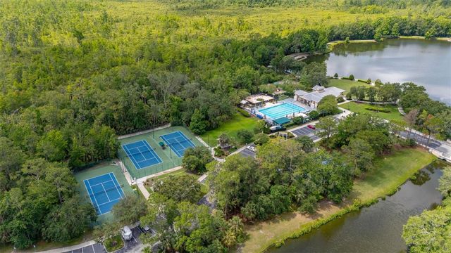 921 BEGONIA ROAD 203, Celebration, FL 34747