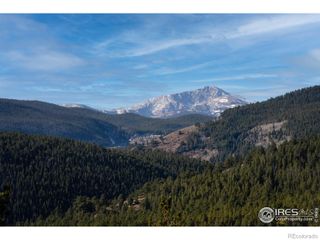 25 Ridge View Road, Nederland, CO 80466