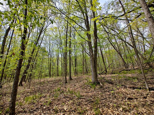 Vl Tipsico Lake Rd Parcel B, Fenton, MI 48430