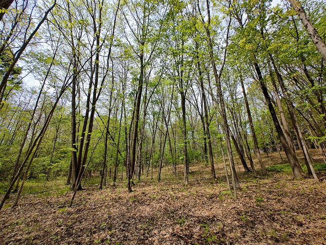 Vl Tipsico Lake Rd Parcel B, Fenton, MI 48430