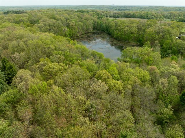 Vl Tipsico Lake Rd Parcel B, Fenton, MI 48430