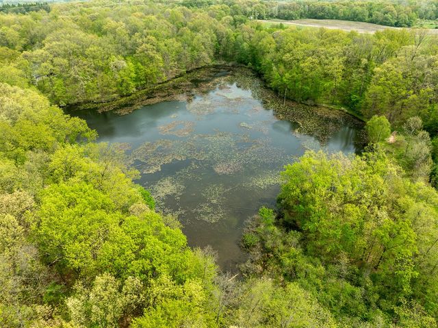 Vl Tipsico Lake Rd Parcel B, Fenton, MI 48430