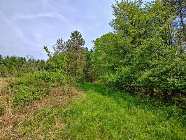 Vl Tipsico Lake Rd Parcel B, Fenton, MI 48430