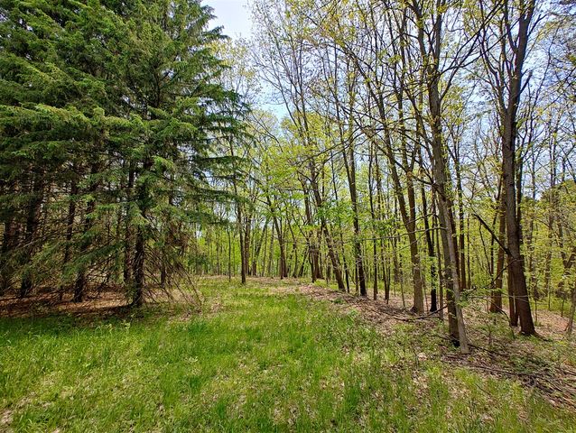 Vl Tipsico Lake Rd Parcel B, Fenton, MI 48430