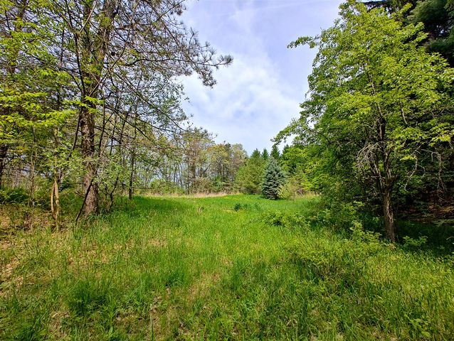 Vl Tipsico Lake Rd Parcel B, Fenton, MI 48430