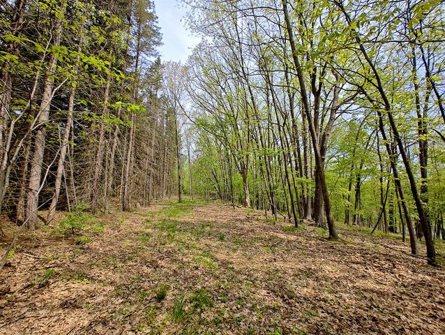 Vl Tipsico Lake Rd Parcel B, Fenton, MI 48430