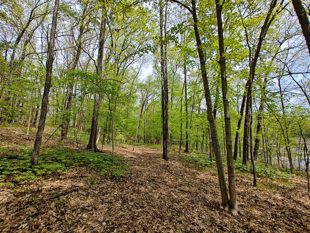 Vl Tipsico Lake Rd Parcel B, Fenton, MI 48430