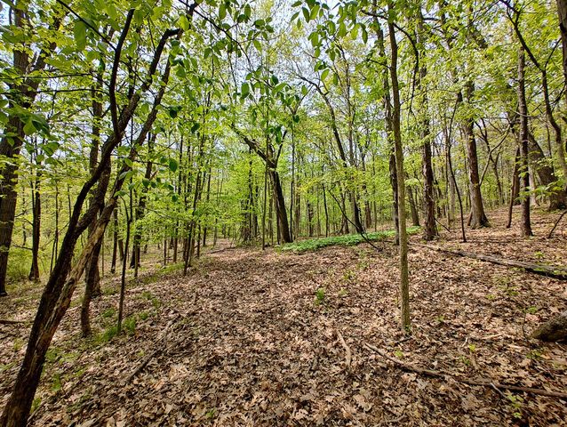 Vl Tipsico Lake Rd Parcel B, Fenton, MI 48430