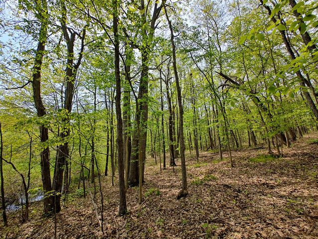 Vl Tipsico Lake Rd Parcel B, Fenton, MI 48430