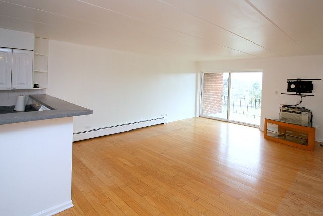 16 E Old Willow Road 405s, Prospect Heights, IL 60070