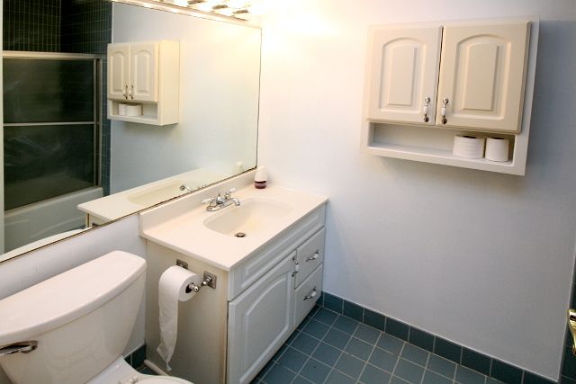 16 E Old Willow Road 405s, Prospect Heights, IL 60070