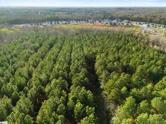 00 Tall Pines Road, Fountain Inn, SC 29644