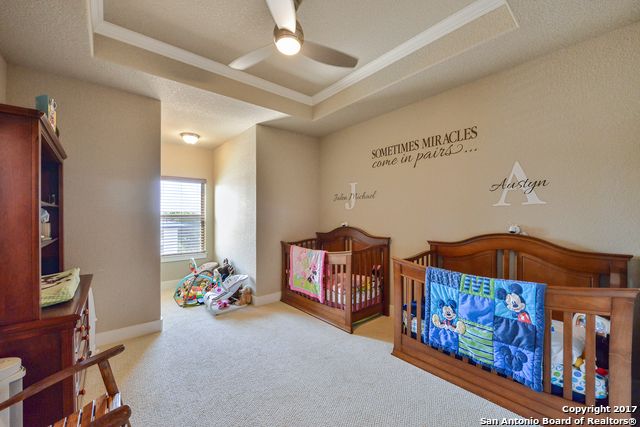 10014 BASILONE RDG, San Antonio, TX 78255