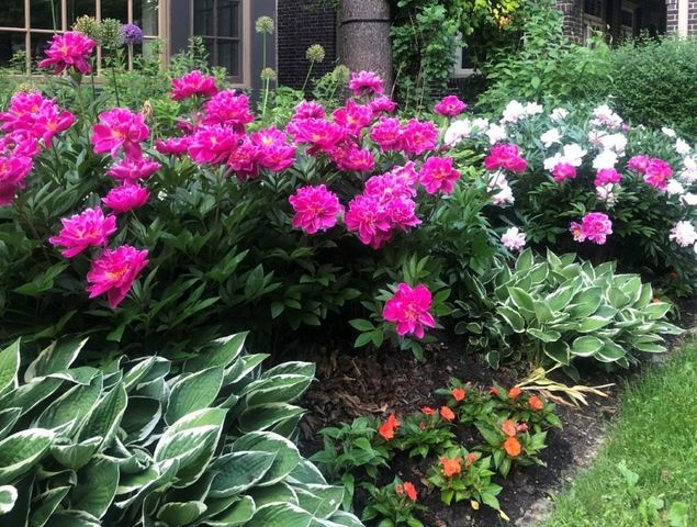 2205 Kenwood Parkway, Minneapolis, MN 55405