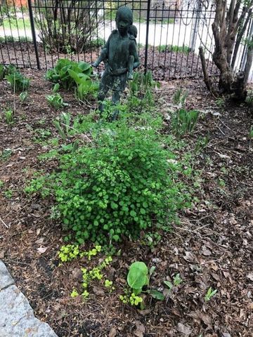 2205 Kenwood Parkway, Minneapolis, MN 55405