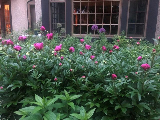 2205 Kenwood Parkway, Minneapolis, MN 55405