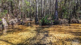 8340 Gin Rd, Pace, FL 32570