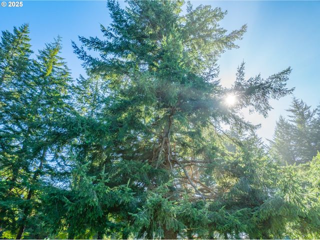 93919 SUNNY HILL Ln, North Bend, OR 97459