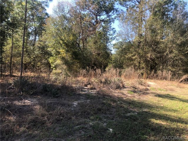 2004 W Huntington Drive, Beverly Hills, FL 34465