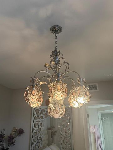 16300 COUNTY ROAD 455 401, Montverde, FL 34756