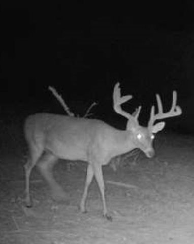 0000 County Road 119, Hico, TX 76457