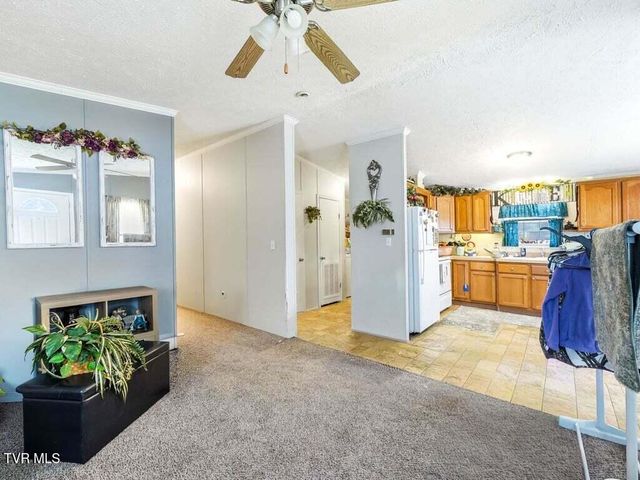 170 Burnett Chapel Lane, Greeneville, TN 37743