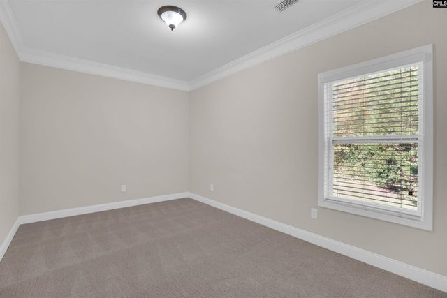 317 Eagle Claw Drive, Chapin, SC 29036