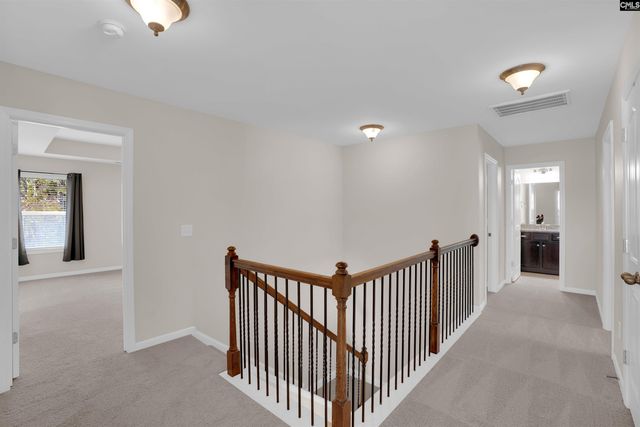 317 Eagle Claw Drive, Chapin, SC 29036