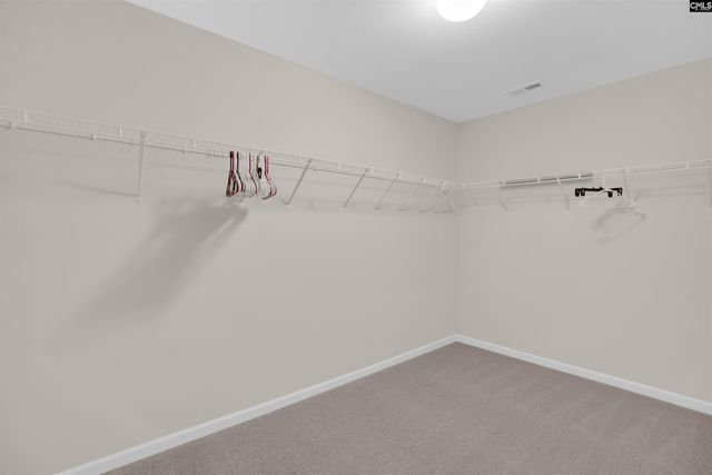 317 Eagle Claw Drive, Chapin, SC 29036