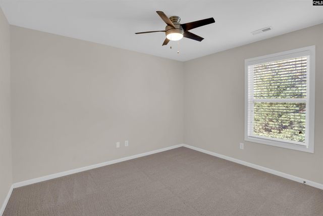 317 Eagle Claw Drive, Chapin, SC 29036