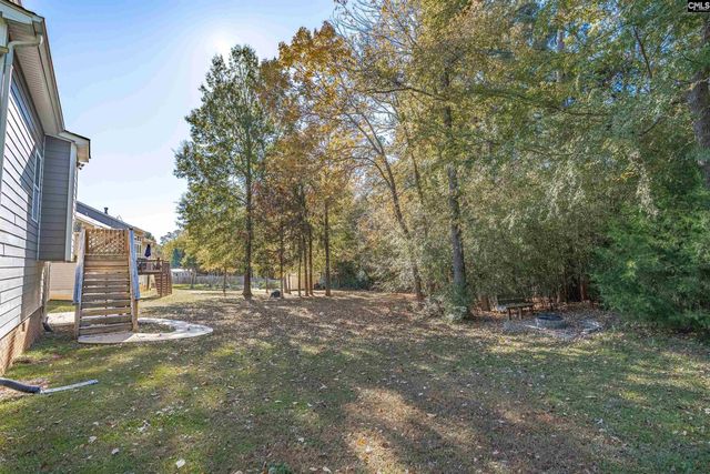 317 Eagle Claw Drive, Chapin, SC 29036