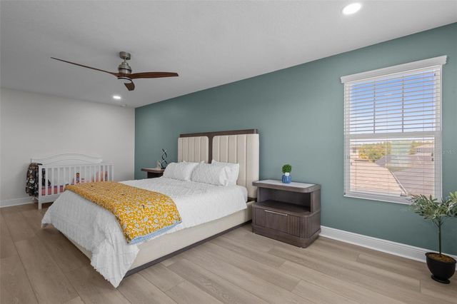 4528 BALLANTRAE BOULEVARD, Land O Lakes, FL 34638
