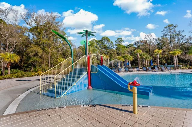 4528 BALLANTRAE BOULEVARD, Land O Lakes, FL 34638