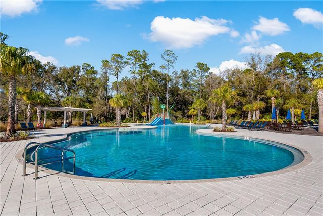 4528 BALLANTRAE BOULEVARD, Land O Lakes, FL 34638