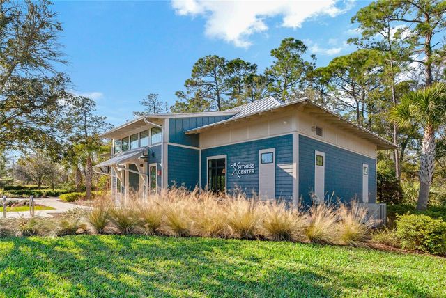 4528 BALLANTRAE BOULEVARD, Land O Lakes, FL 34638