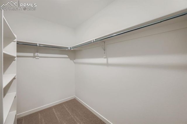 1154 Smiley Creek Point, Colorado Springs, CO 80904